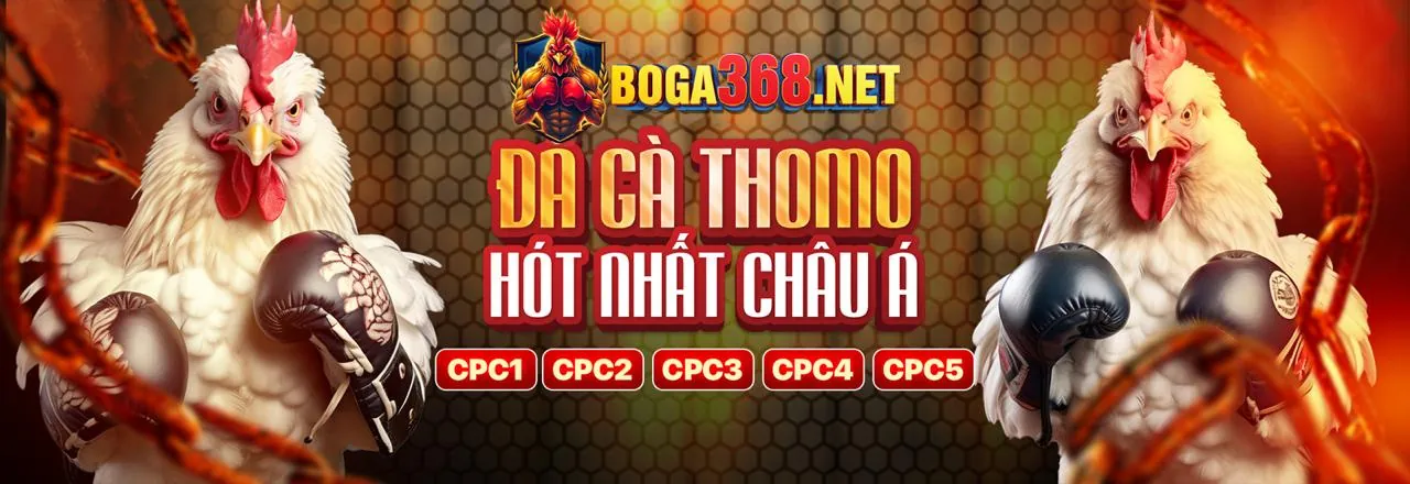 Đa dạng trò chơi sòng bạc trực tuyến